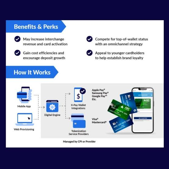 Prozone CC: Understanding Online Payment Security Risks and Fraud Prevention