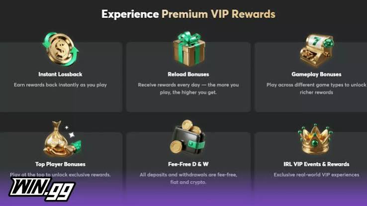 A Complete Guide to vipwin and Its Top Features